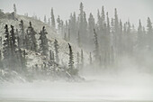 Dust storm in Kluane National Park; Destruction Bay, Yukon, Canada