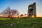 Alte irische Burgruine auf einer grünen Wiese mit der untergehenden Sonne, die durch das Fensterloch fällt; Clonlarra, County Clare, Irland