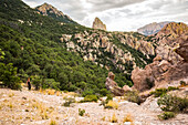 Frau beim Wandern in den Chiricahua Mountains oberhalb des Cave Creek Canyon in der Nähe von Portal; Arizona, Vereinigte Staaten von Amerika