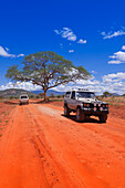 Safari-Fahrzeuge auf der Schotterstraße, Tsavo-Nationalpark, Kenia