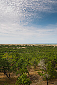 Overview of Scenic, Provincetown, Cape Cod, Massachusetts, USA
