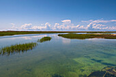 Landschaft mit Wasser und Gräsern, Provincetown, Cape Cod, Massachusetts, USA