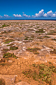 Arid Landscape, Arikok National Park, Aruba, Lesser Antilles, Caribbean