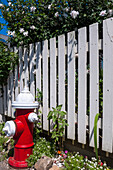 Fire Hydrant beside White Picket Fence, Provincetown, Cape Cod, Massachusetts, USA
