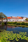 Seerosenblätter im Bach, Nyborg, Insel Fünen, Dänemark