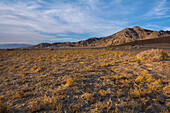 Death Valley National Park, California, USA