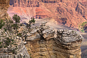 North Rim, Grand-Canyon-Nationalpark, Arizona, USA