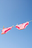 Pink Underwear on Clothesline