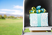 Gift in Mailbox