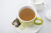 Gebrauchter Teebeutel auf Untertasse mit Tasse Tee in grüner Tasse mit Zuckerdose, Studioaufnahme