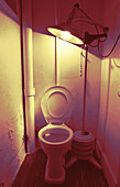 Toilet and Lamp