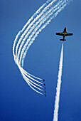 Snowbirds Performing at Air Show