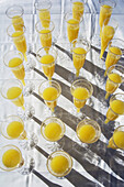 Mimosen in Plastik-Champagnerflöten