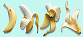 Banane in den Stadien des Verzehrs