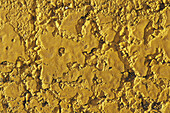 Close-up of Painted Yellow Line on Road, Toronto, Ontario, Canada