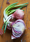 Sprouting shallots on wooden background, studio shot