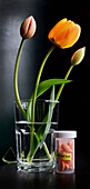 Close-up of water glass with tulips and bottle of pills, medication, studio shot on black background