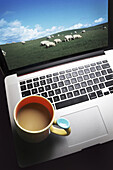 Coffee Mug on Laptop Computer with Flock of Sheep on Screen