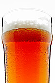 Close-up of Glass of Beer on White Background