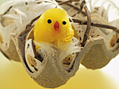 Easter Chick in Broken Eggshell