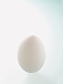 Weißes Ei auf weißem Hintergrund