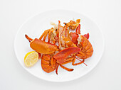 Leftovers of Lobster Dinner, Studio Shot