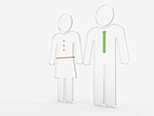 3D Illustration of Glass Couple Symbols on White Background