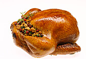 Turkey with Cranberry Stuffing
