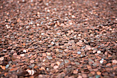 Large Pile of Coins