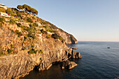 Via dell'Amore, Riomaggiore, Cinque Terre, Provinz La Spezia, Ligurien, Italien