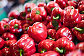 Rote Paprikaschoten auf dem Markt, Spring Hill, Florida, USA