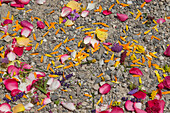Blumenblüten auf dem Boden, Österreich