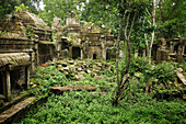 Beng Mealea, Angkor, Kambodscha