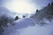 Schneebedeckte Bäume und Landschaft, Jungfrau Region, Schweiz