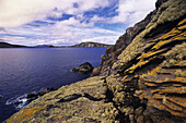 Dingle Bay und felsige Küstenlinie, Dingle-Halbinsel, Irland