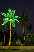 Künstliche Palme bei Nacht
