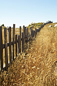 Fence, Mendocino Coast, California, USA