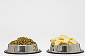 Dog Food and Potato Chips in Dog Bowls