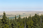 Überblick über die Landschaft von Cypress Hills, Alberta, Kanada