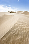 Imperial Sand Dunes Recreation Area, California, USA