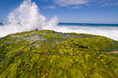Surf Breaking, Kauai, Hawaii, USA