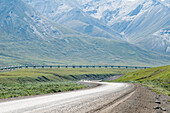 Alaska-Pipeline, Brooks Range-Gebirge, Alaska, USA