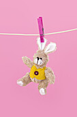 Stuffed Rabbit on Clothesline