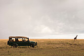 Safari-Fahrzeug und Masai-Giraffe, Masai Mara-Nationalreservat, Kenia