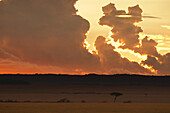 Sunset, Masai Mara National Reserve, Kenya