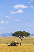 Acacia tree and safari jeep in the Maasai Mara National Reserve, Kenya