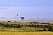 Heißluftballons über dem Masai Mara Nationalreservat, Kenia