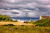 Isle Of Gigha, Schottland; Traktor auf dem Feld eines Landwirts
