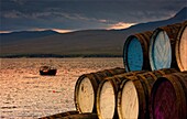 Islay, Inner Hebrides, Scotland; Barrels Stacked By Seascape