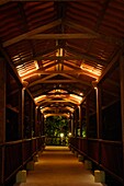 Covered Walkway In Rainforest Resort; Costa Rica
